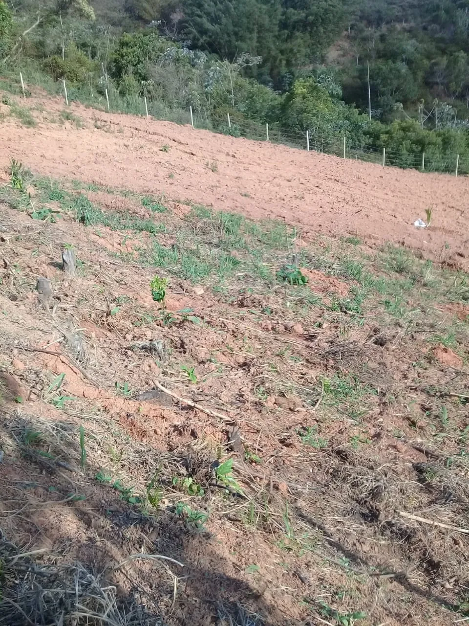 Imagem Chácara à venda 20000M², Mandú, Pindamonhangaba - SP