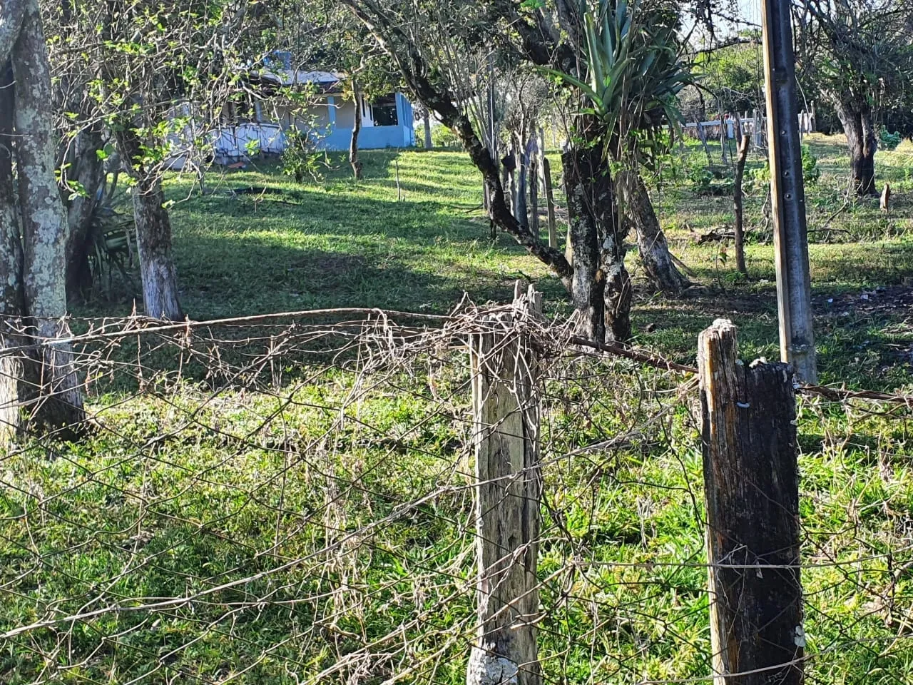 Imagem Chácara à venda 2 Quartos, 50000M², Zona Rural, Potim - SP