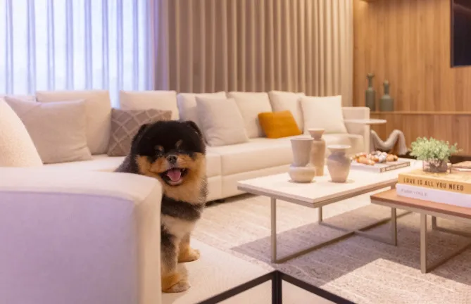 Foto do imóvel Apartamento com 3 Quartos à Venda, 170 m² em Pinheiros - São Paulo