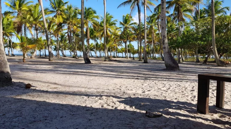 Imagem Ilha Paradisíaca