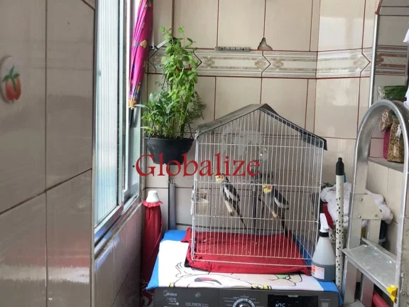 Imagem 3 Dormitórios, 1 sala, 1 cozinha, 1 banheiro, 1 Área de serviço - Bnh por R$ 380.000,00