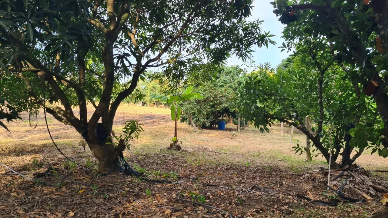 Imagem Chacara à venda em Cesário Lange-SP, bairro Guarapó, com 5.287,00 m² de área: sua oportunidade de investimento!