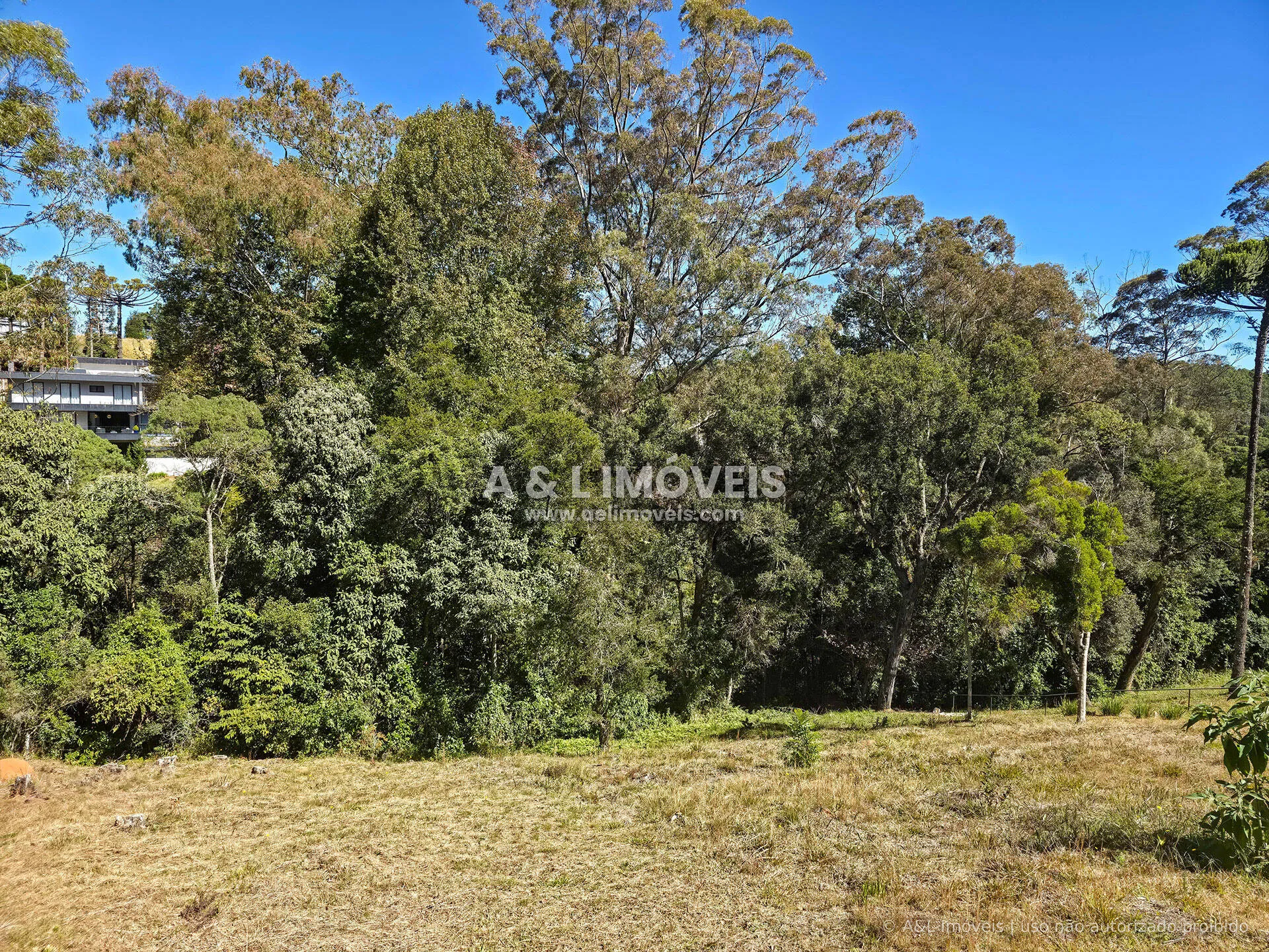Imagem Lote à venda no Reserva Figueiredo | Campos do Jordão
