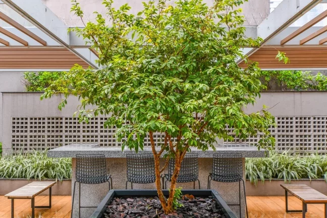 Imagem Apartamento à venda em São Paulo, Campo Belo, com 3 quartos, 186m2