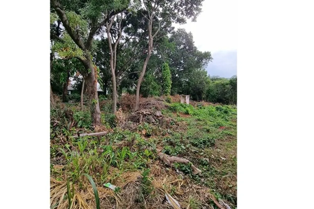 Imagem Terreno em Nonoai