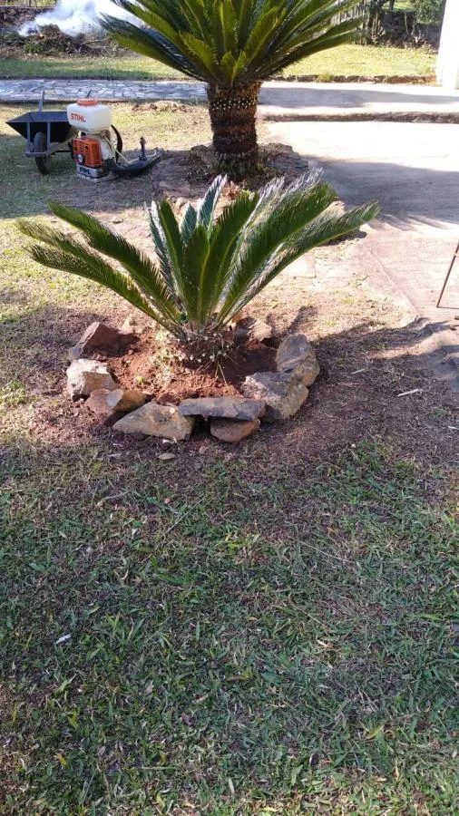 Imagem Chácara para Venda em Gramado / RS no bairro Várzea Grande Linha Carara