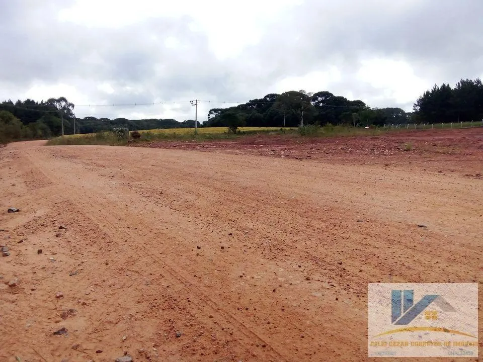 Imagem Terreno para Venda em São José dos Pinhais, Campo Largo da Roseira