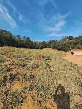 Imagem Área à venda, 20000 m² por R$ 320.000 - Salto de Cima - Extrema/MG