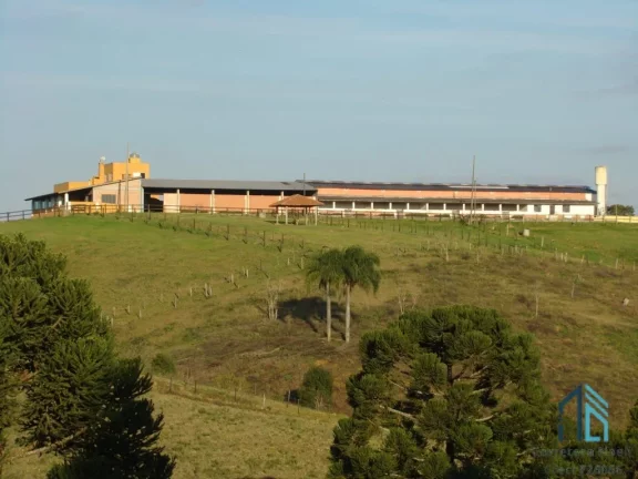 Imagem Sítio/Haras com 52,00 área e 3.000m² área construída, Barracões, 6 casas de funcionários, 29 cocheiras, em Tijucas do Sul - PR