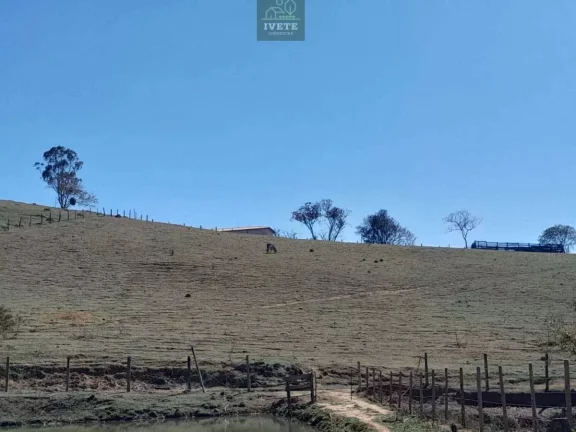Imagem Terreno incrível para criação de animais e plantio