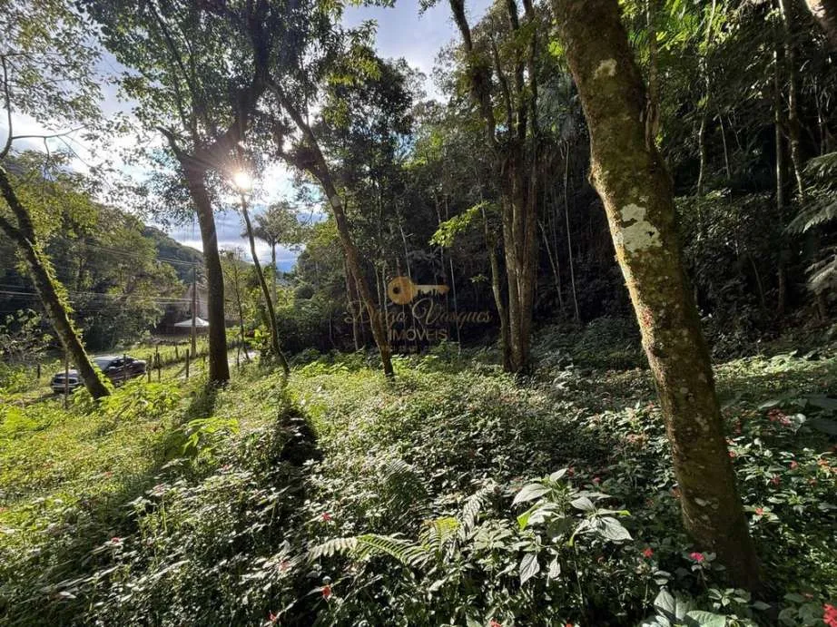 Imagem Terreno para Venda em Teresópolis / RJ no bairro Albuquerque