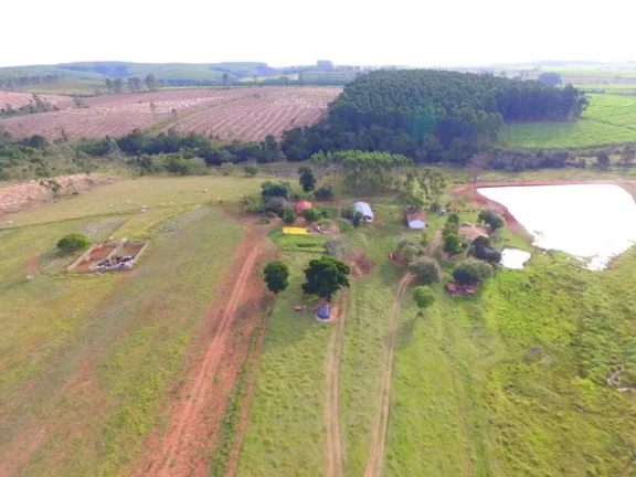 Imagem Itirapina/SP, Sitio 19 alqueires ideal para pecuária