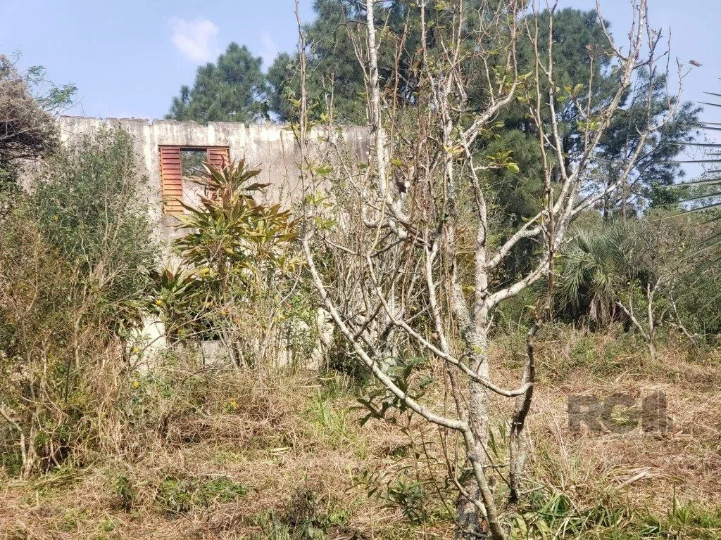 Imagem Terreno em Vila Nova