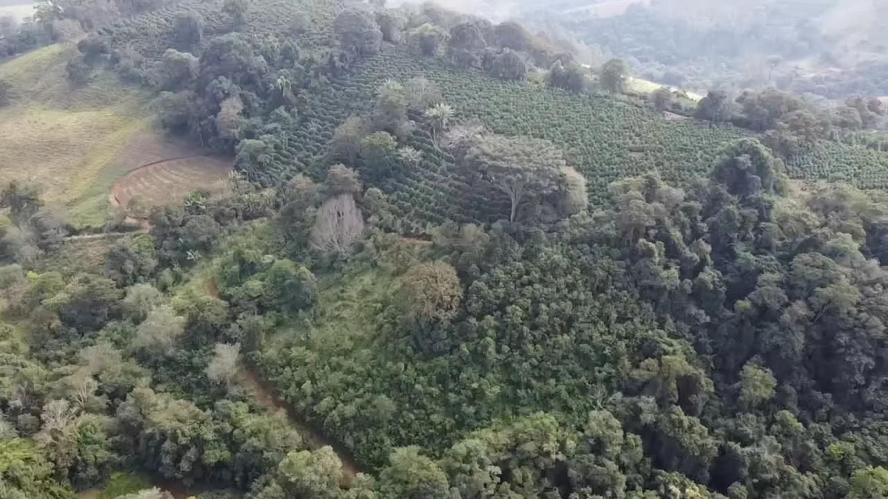 Imagem Sítio 3,63 ha à venda em Primos, Campestre