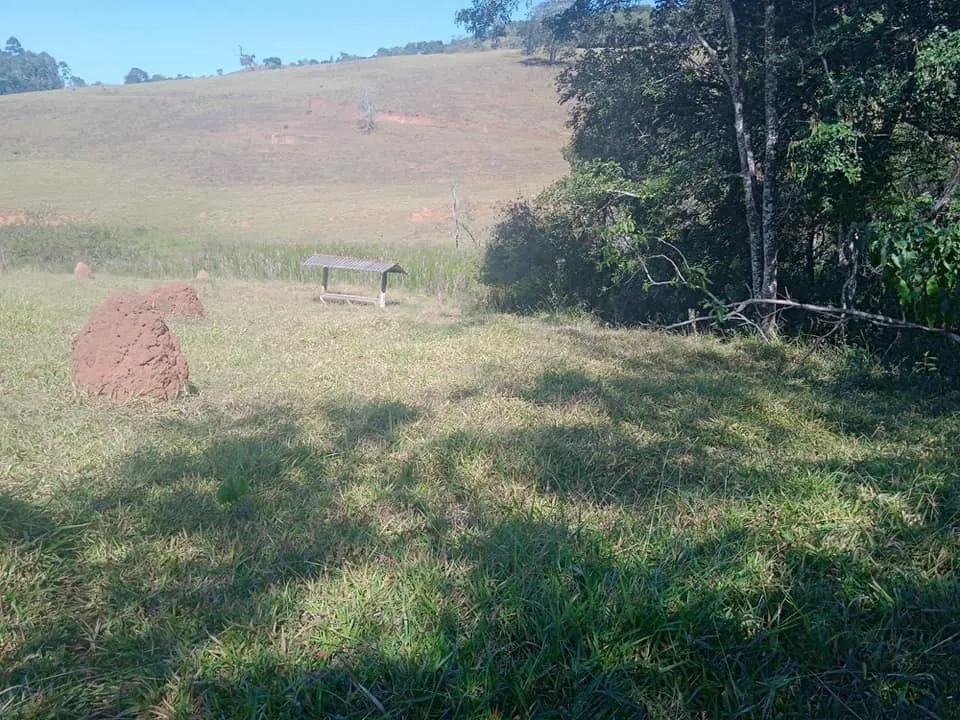 Imagem Venda de Fazenda em Crucilândia 48 hectares de terra