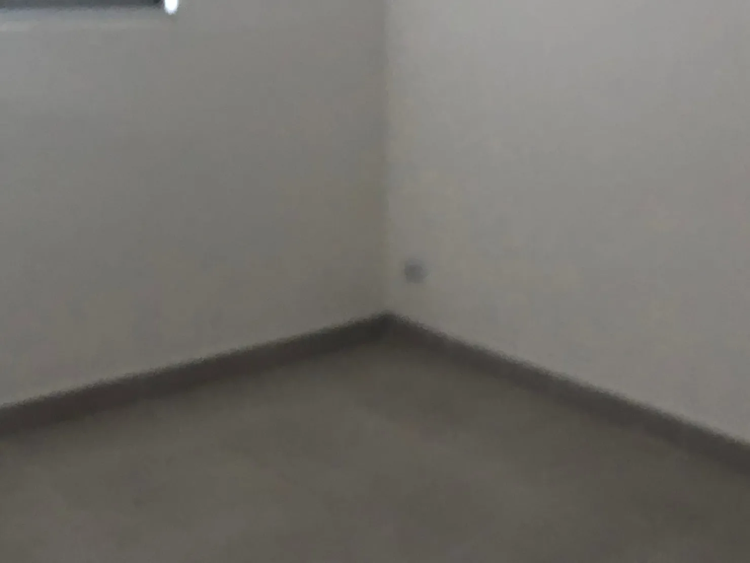 Imagem Apartamento à venda 2 Quartos, 1 Vaga, 52M², Feital, Pindamonhangaba - SP | Condomínio Jabuticabeiras