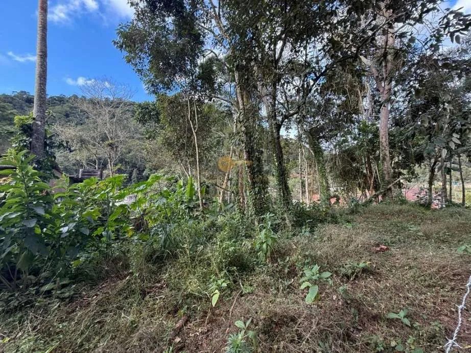 Imagem Terreno para Venda em Teresópolis / RJ no bairro Albuquerque