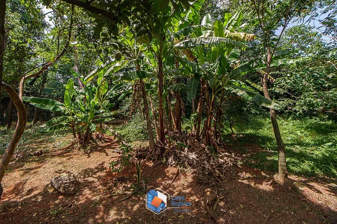 Imagem Casa para venda em City América com 4 quartos, sendo 2 suítes, 560m²