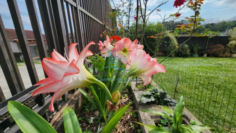 Imagem lindo sobrado bairro João Costa
