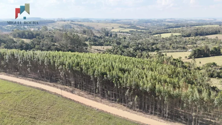 Imagem Sítio São Miguel Arcanjo/SP