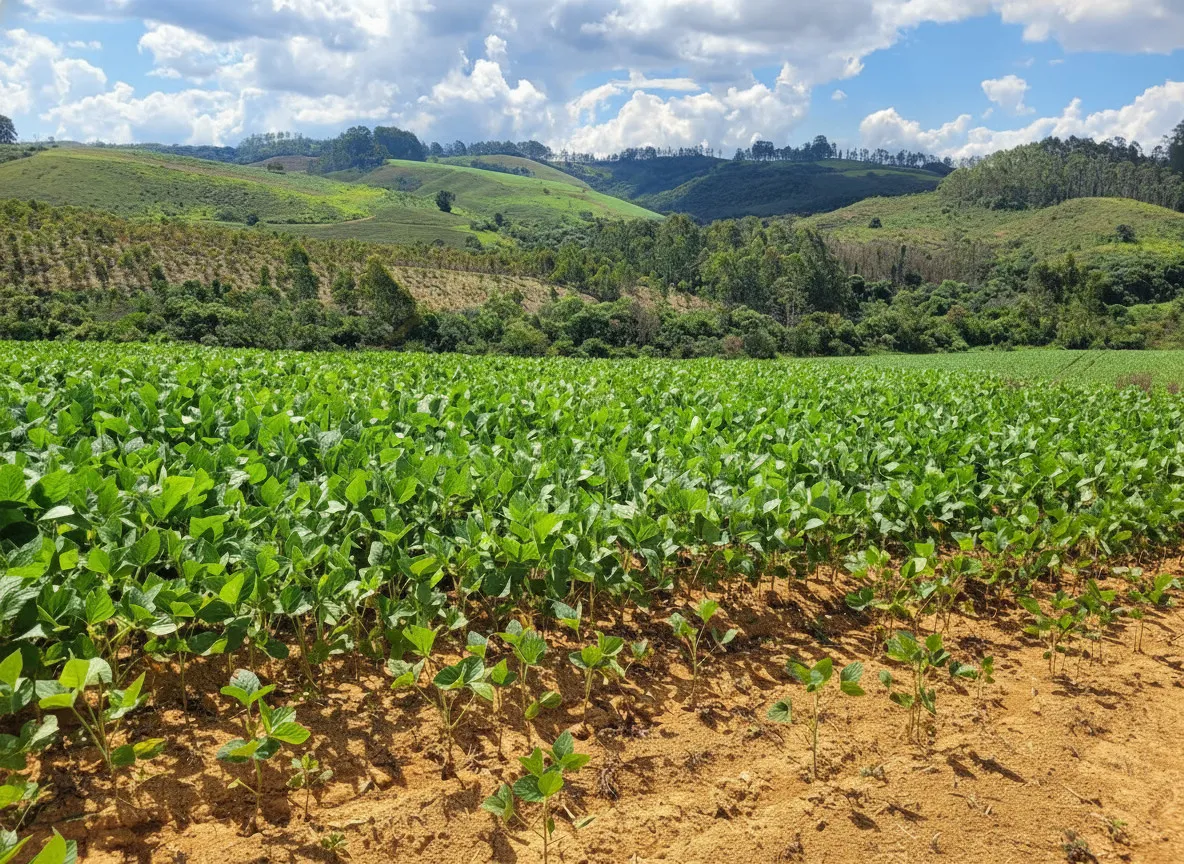 Imagem Fazenda 142,78 ha à venda em Área Rural, Caldas