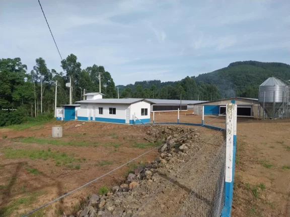 Imagem Granja para Venda em Lindóia do Sul, Interior