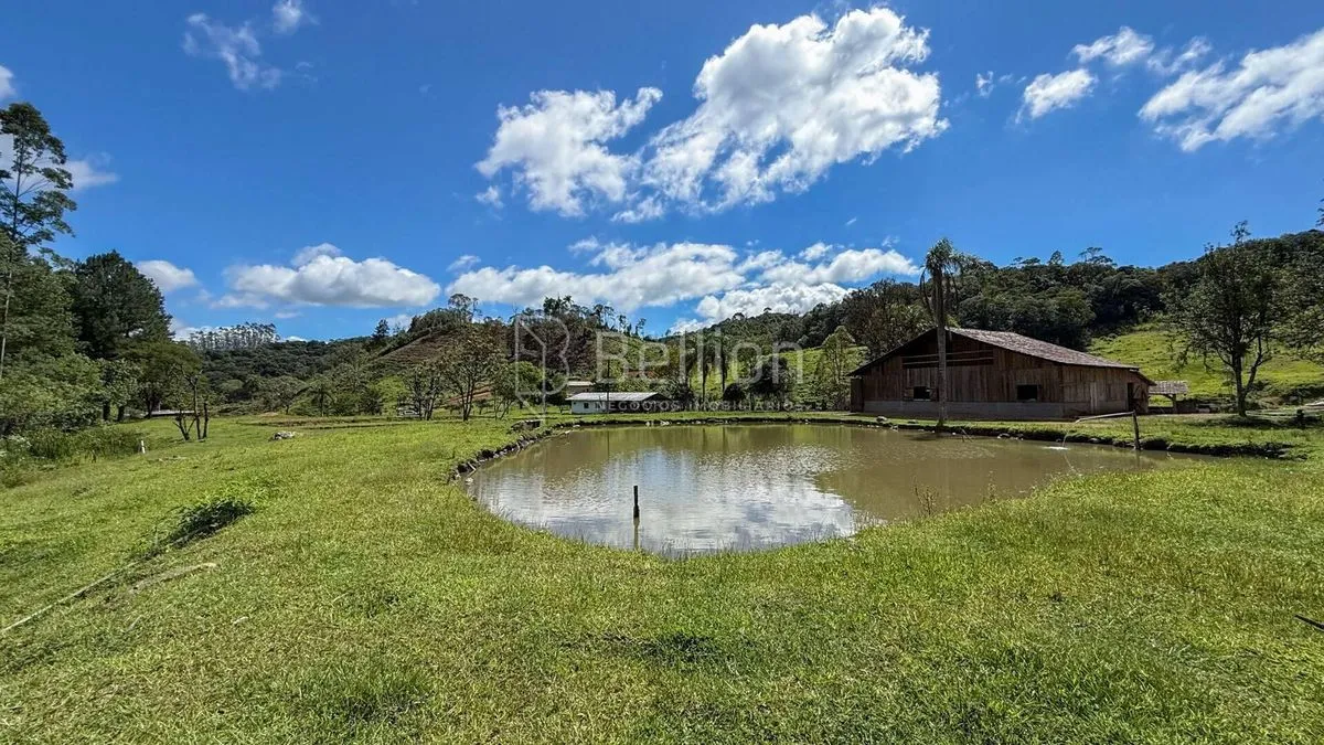 Imagem Sítio completo com lagoas, ribeirão e nascente em Rio dos Cedros