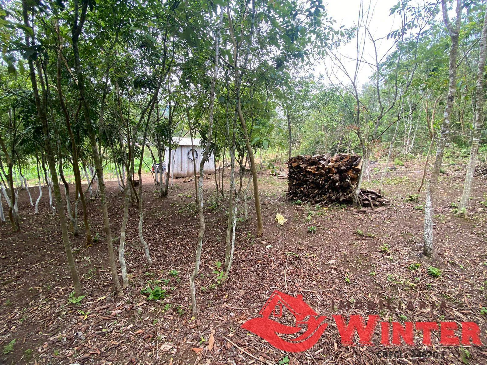 Imagem Área de terras com 6,3 hectares em São Roque, Feliz.