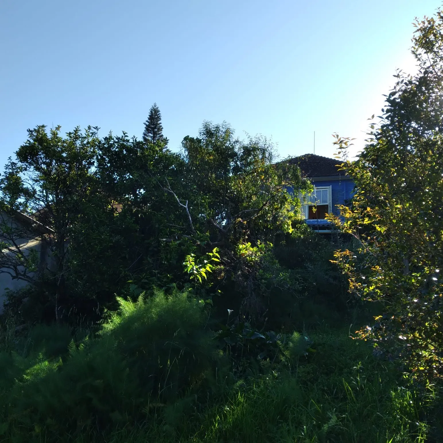 Imagem EXCELENTE TERRENO EM BELÉM VELHO