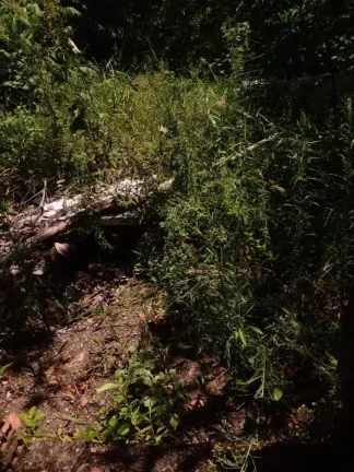 Imagem Terreno para Venda em Vera Cruz, Gamboa