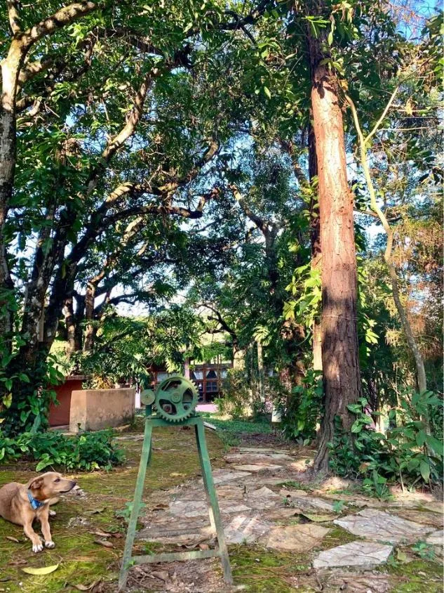 Imagem Vendo um excelente sítio em Betim/MG com 4,9 hectares