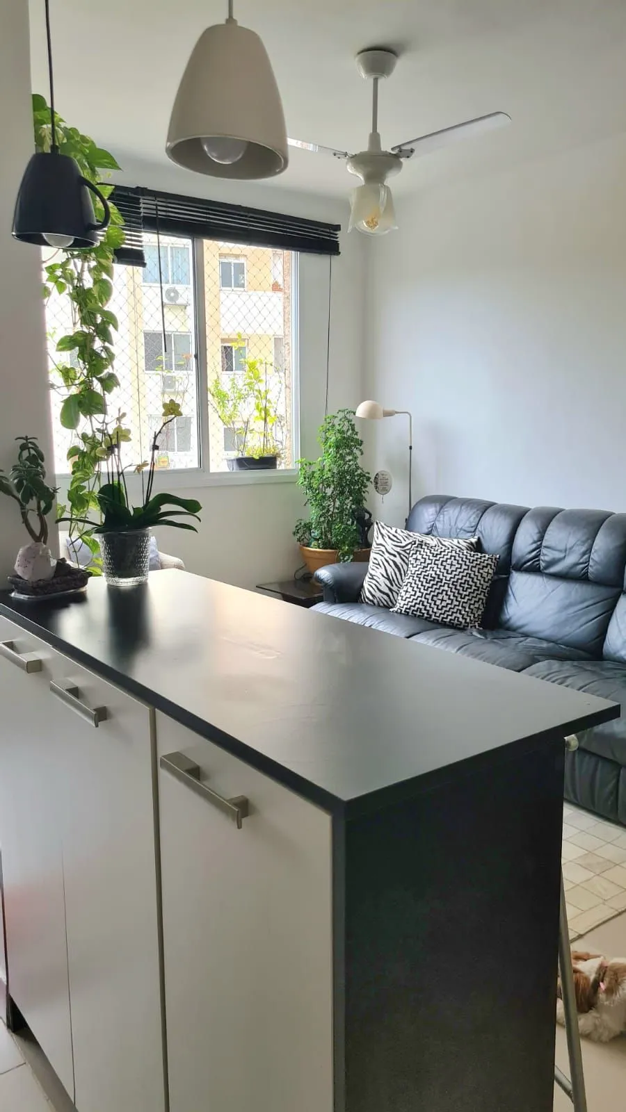 Imagem Apartamento 2 Dormitórios Jardim Carvalho