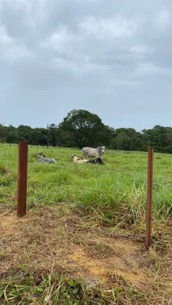 Imagem Chácara à Venda, 450.000 m² em Centro - Santo Antônio do Tauá