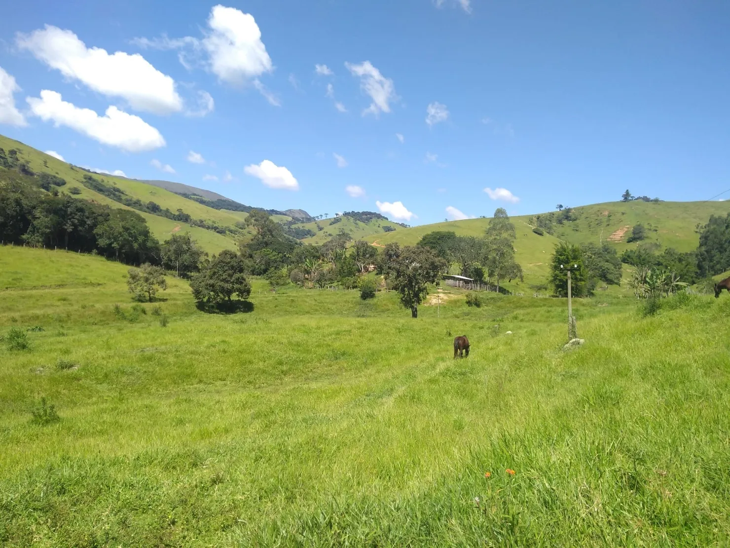 Imagem Chácara à venda 2 Quartos, 768000M², Zona Rural, Cunha - SP