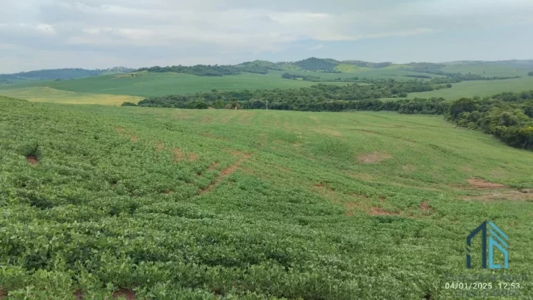 Imagem Fazenda com 57 alqueires (plantando 46) Solo roxo alta fertilidade, Engenheiro Beltrão PR