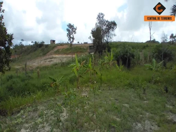 Imagem TERRENO NA VIA PARAFUSO