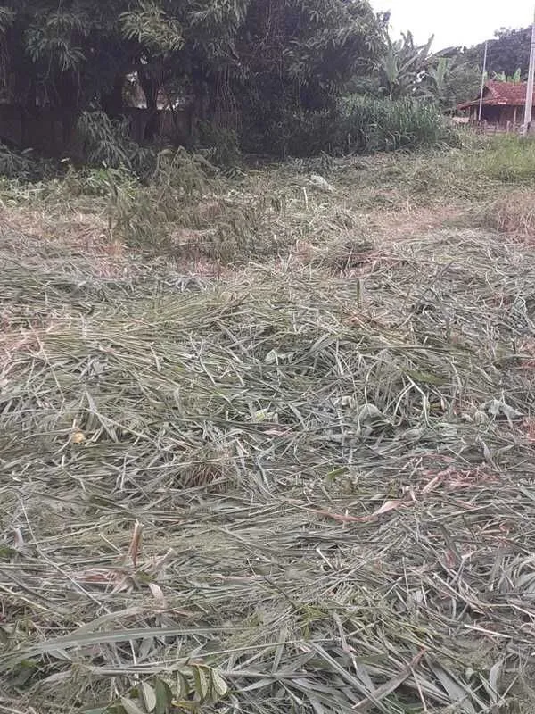 Imagem Terreno à venda, 1460 m² por R$ 84.000,00 - Distrito de Alagoas - Patos de Minas/MG