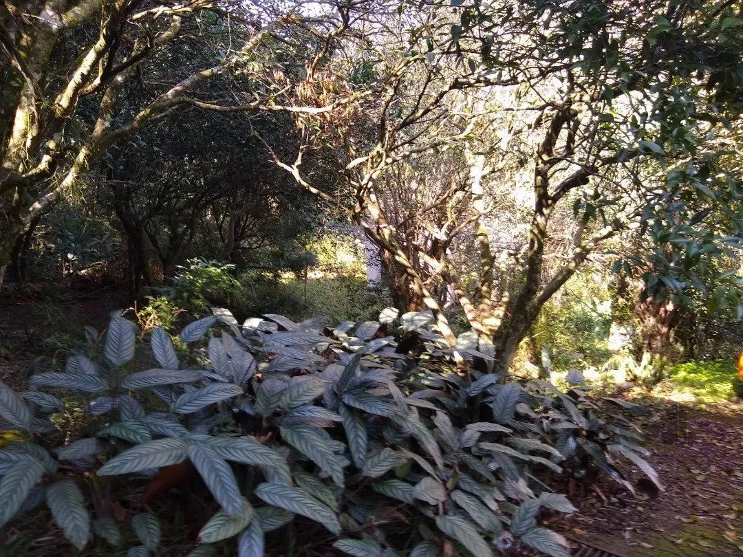 Imagem Terreno em Cascata