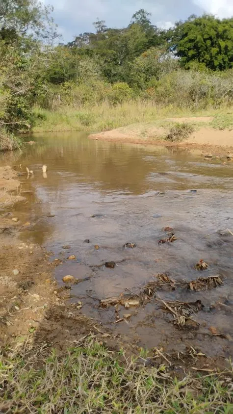 Imagem Fazenda à Venda em Belo Vale/MG | 42 Hectares | R$ 2.800.000,00