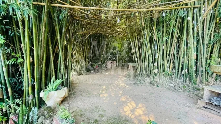 Imagem Sítio / Chácara 2 quartos para Venda no bairro Lomba Grande em Novo Hamburgo