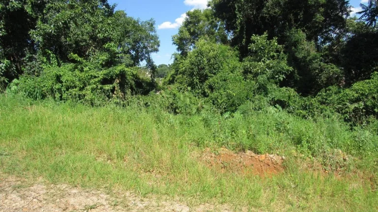 Imagem Terreno para Venda em Concórdia, Jardim
