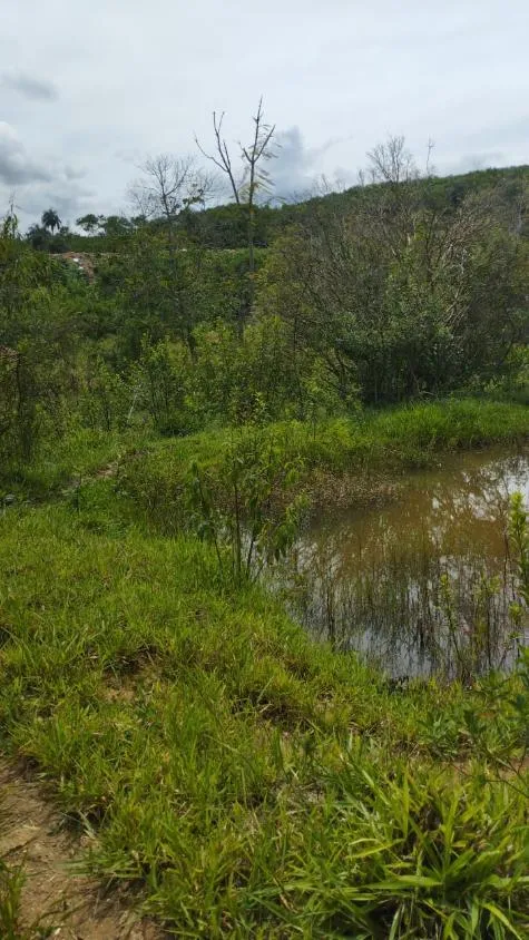Imagem Terreno à venda em Betim/MG com 25.000 m² valor R$ 650.000,00