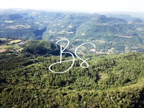 Imagem SITIO RURAL em NOVA PETRÓPOLIS - RS, Linha Brasil