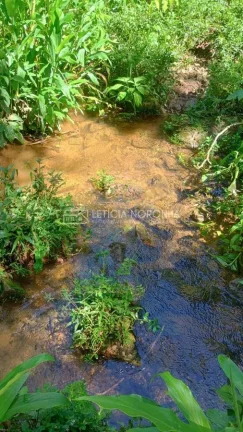 Imagem Terreno à Venda