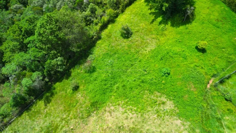 Imagem Terreno em Campos do Jordão