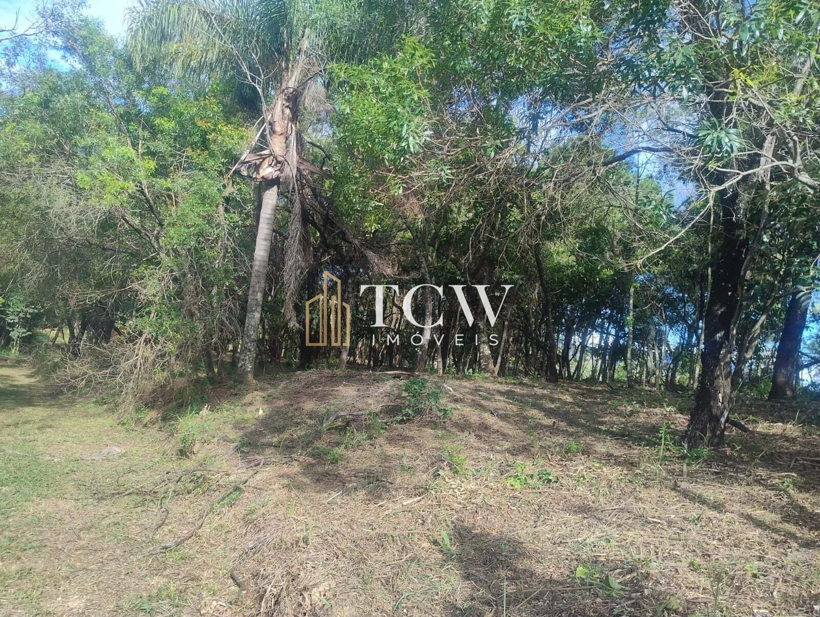 Imagem Terreno em Loteamento | 20.000m2 | ATIBAIA/SP