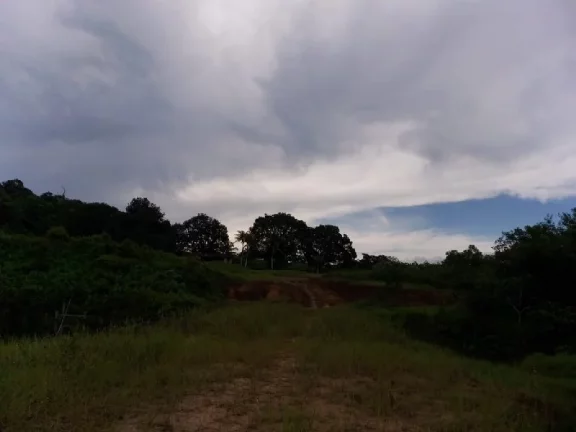 Imagem Oportunidade de adquirir uma grande área , em Rio Preto da Eva . com 15 mil hectares , escriturado e registrado
