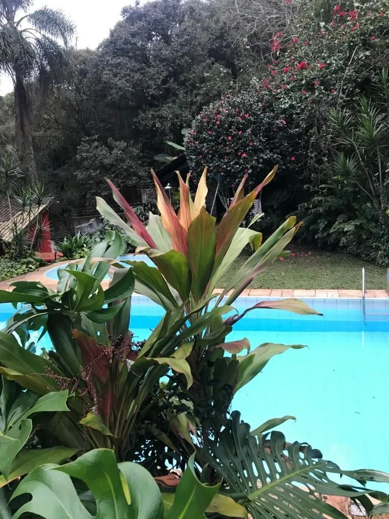 Imagem Sítio 4.500m² 3 dorm. 1 suite + 10 vagas Ponta Grossa - Porto Alegre