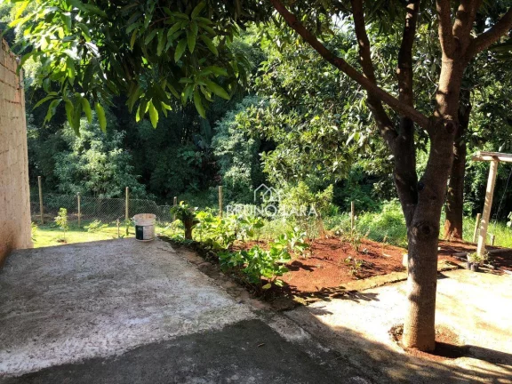 Imagem Sitio à venda em Igarapé bairro Miriti