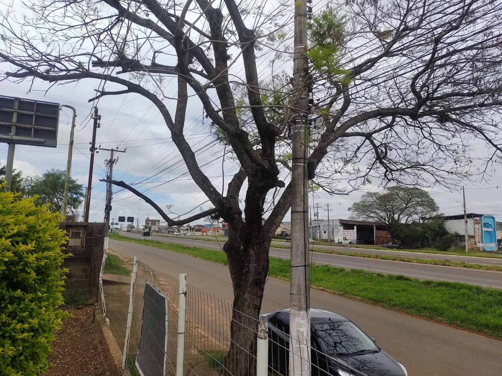 Imagem Casa Comercial